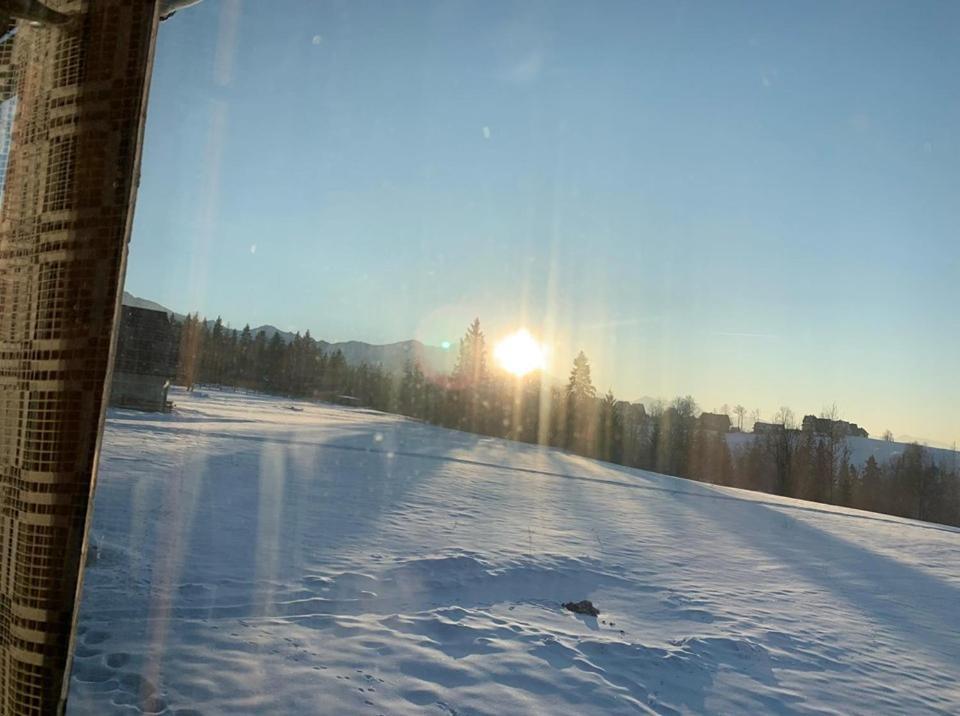 Domek Slebodny Uplaz Zakopane Exteriör bild
