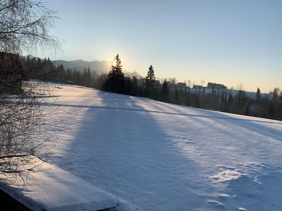 Domek Slebodny Uplaz Zakopane Exteriör bild
